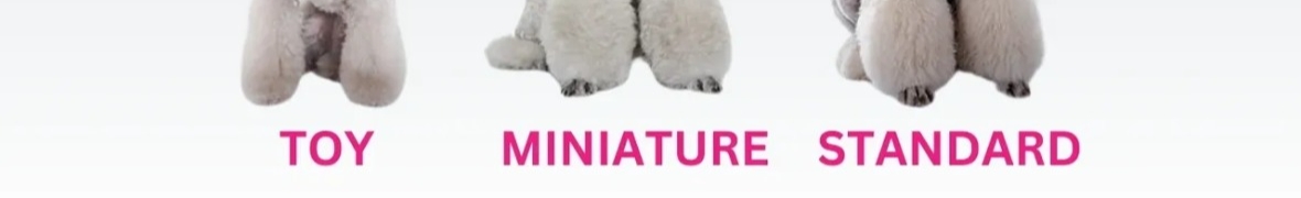 unadevaratprieten