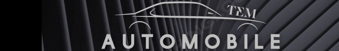 TEM Automobile