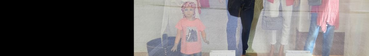 IONAS LAURA PERSOANA FIZICA AUTORIZATA