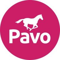 1pavo.ro