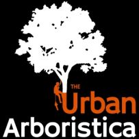 Taiere Copaci Periculosi - Arboristica