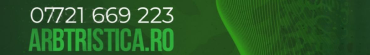 Taiere Copaci Periculosi - Arboristica