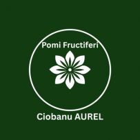 Pomi Fructiferi