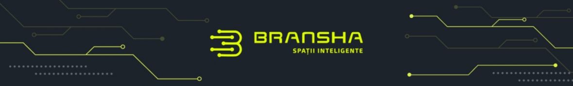 BRANSHA Systems