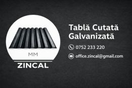 Zincal