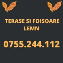 Terase si Foisoare din lemn