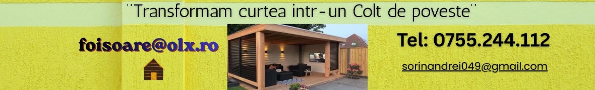 Terase si Foisoare din lemn