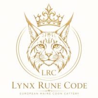 Crescătoria de pisici Maine Coon Lynx Rune Code