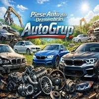 Dezmembrari AutoGrup Iasi logo
