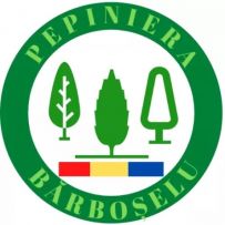 cristi logo