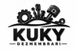Iulian logo