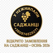У НЕЖНИПАПИ СІМЕЙНИЙ ВИНОГРАДНИК logo