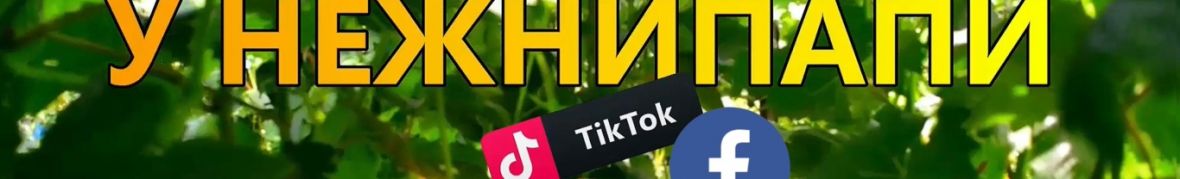 У НЕЖНИПАПИ СІМЕЙНИЙ ВИНОГРАДНИК