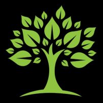 Студія Дверей та Вікон "Arbol"