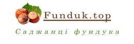 Сортові саджанці фундука. funduk.top