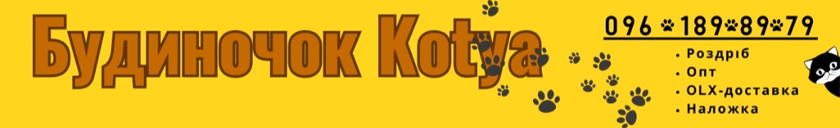 Kotya-Cat