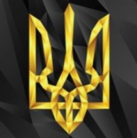 TorchynShyny
