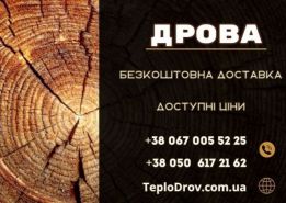 TeploDrov logo