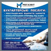 Бухгалтерська компанія «Мегазвіт»