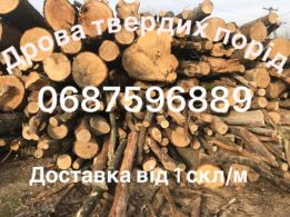 Володимир logo