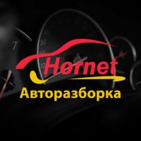 Hornet Odessa