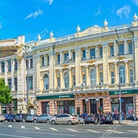 Виноградна лоза