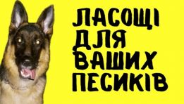 Dogсмаколик
