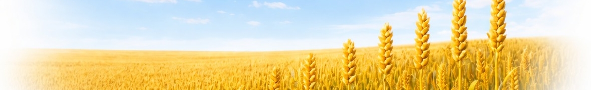 ТОВ Управління нерухомості "Кадастр"