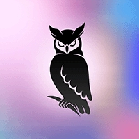 Wisdom Owls Team