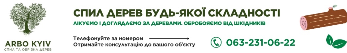 Arbo Kyiv - Ваш надійний помічник у видаленні аварійних дерев