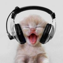 Resh Audio