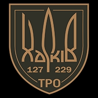 229 ОБ 127 ОБр Сил ТрО