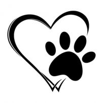 Обладнання "Vita"