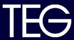 "Tech Exim Group"
