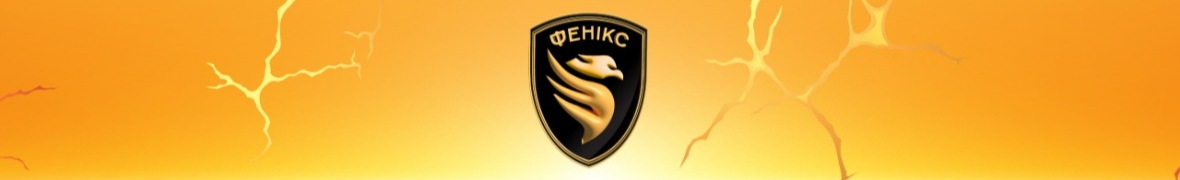 Прикордонний підрозділ БАС "Фенікс"