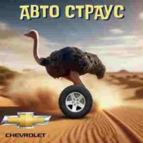 AUTOSTRAYS АВТОЗАПЧАСТИНИ