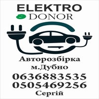 ElektroDonor - авторозбірка Nissan Leaf у м.Дубно