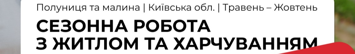 Ігор