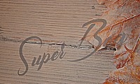 SuperBag-Це супер ціни