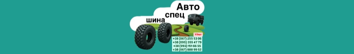 Автоспецшина
