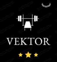 Vektor