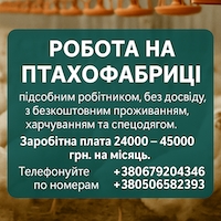 Натаніель