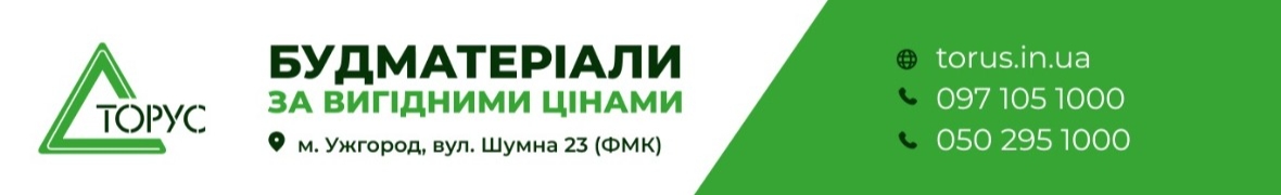 Торус
