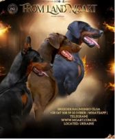 From Land Moart dobermann kennel