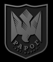 427-й окремий полк безпілотних систем Рарог