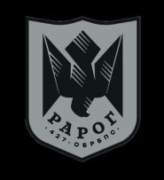 427-й окремий полк безпілотних систем Рарог