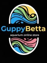 GuppyBetta