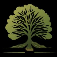 Дрова з Доставкою