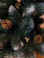 Преміальні штучні Ялинки по всій Україні