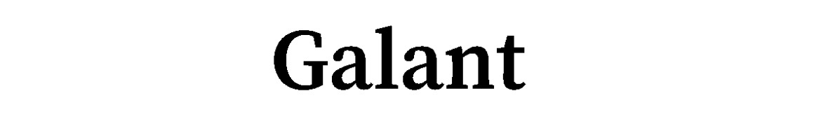 Galant - сумки та аксесуари